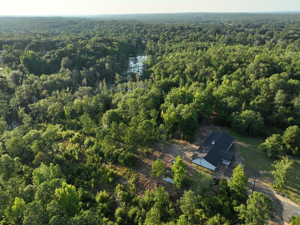 50 Sweetwater Branch Road Fort Mitchell, AL 36856 - Photo 7 of 9