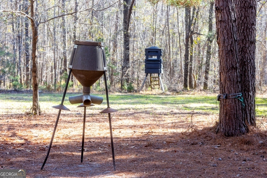 0 Crooked Road, Unit TRACT 1 Millen, GA 30442 - Photo 14 of 33