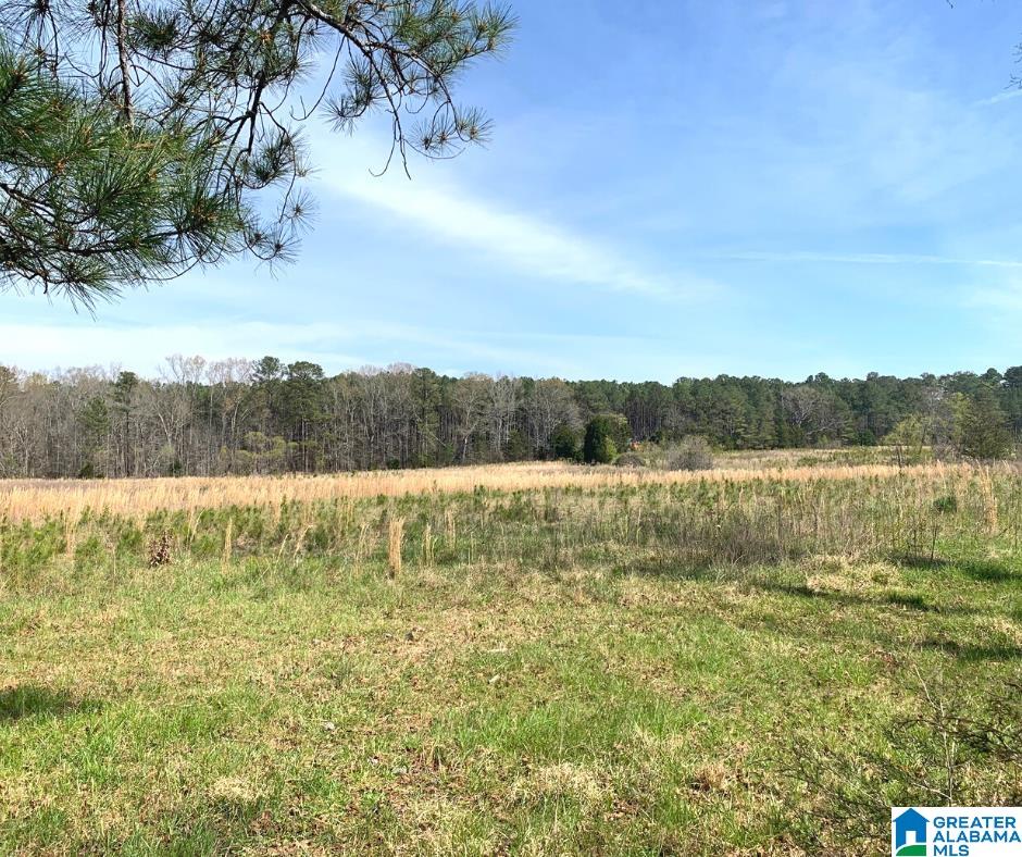 352 Daniel Road, Unit 97 17 ACRES Ohatchee, AL 36271 - Photo 8 of 17