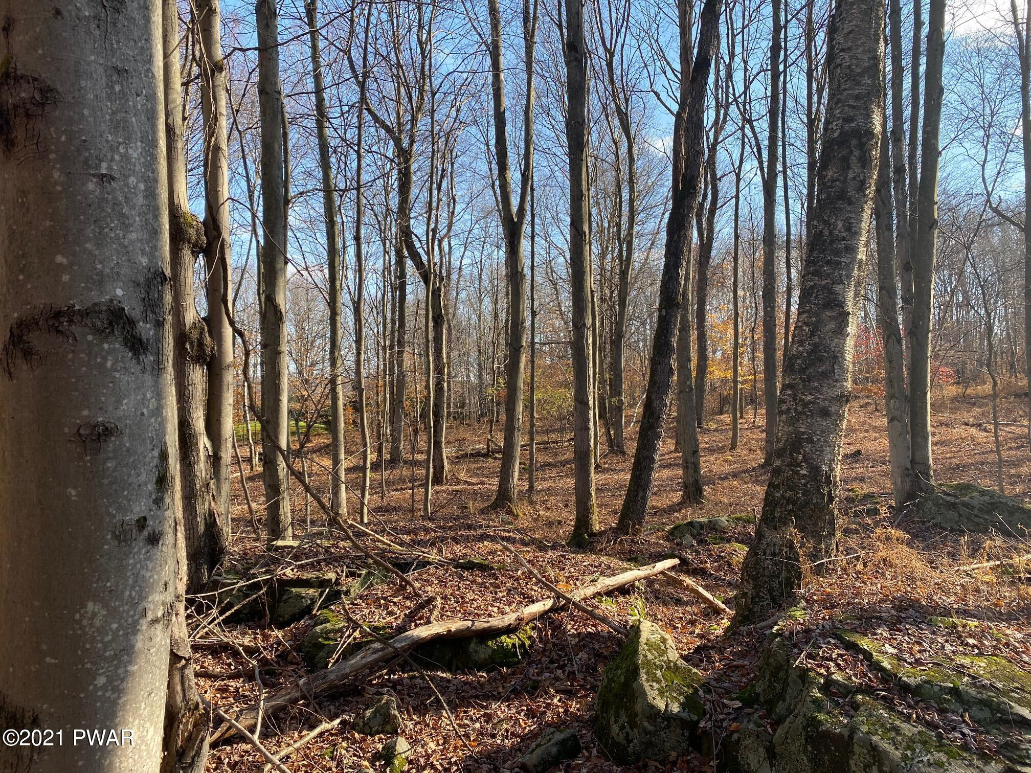 Hemlock Road Waymart, PA 18472 - Photo 2 of 5