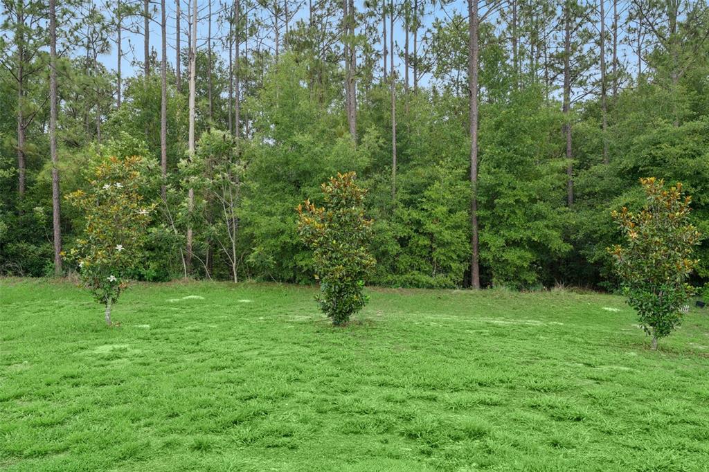 4810 Magnetite Loop Mount Mount Dora, FL 32757 - Photo 17 of 67