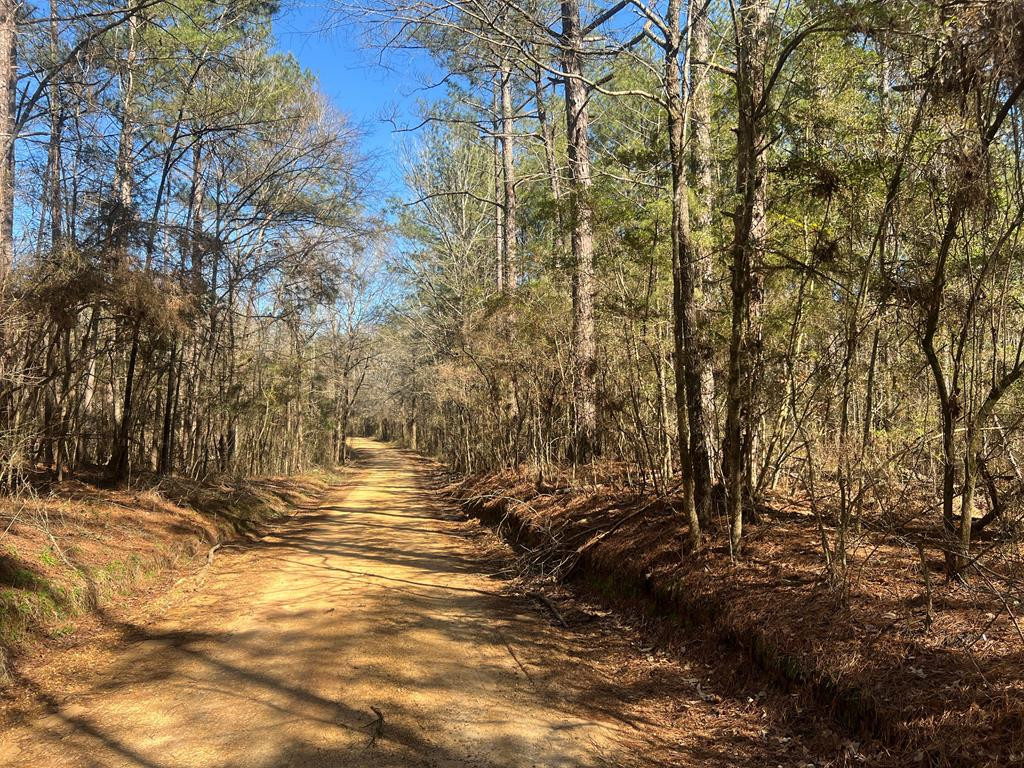 3209 County Farm Road Liberty, MS 39645 - Photo 19 of 29 Photo 19