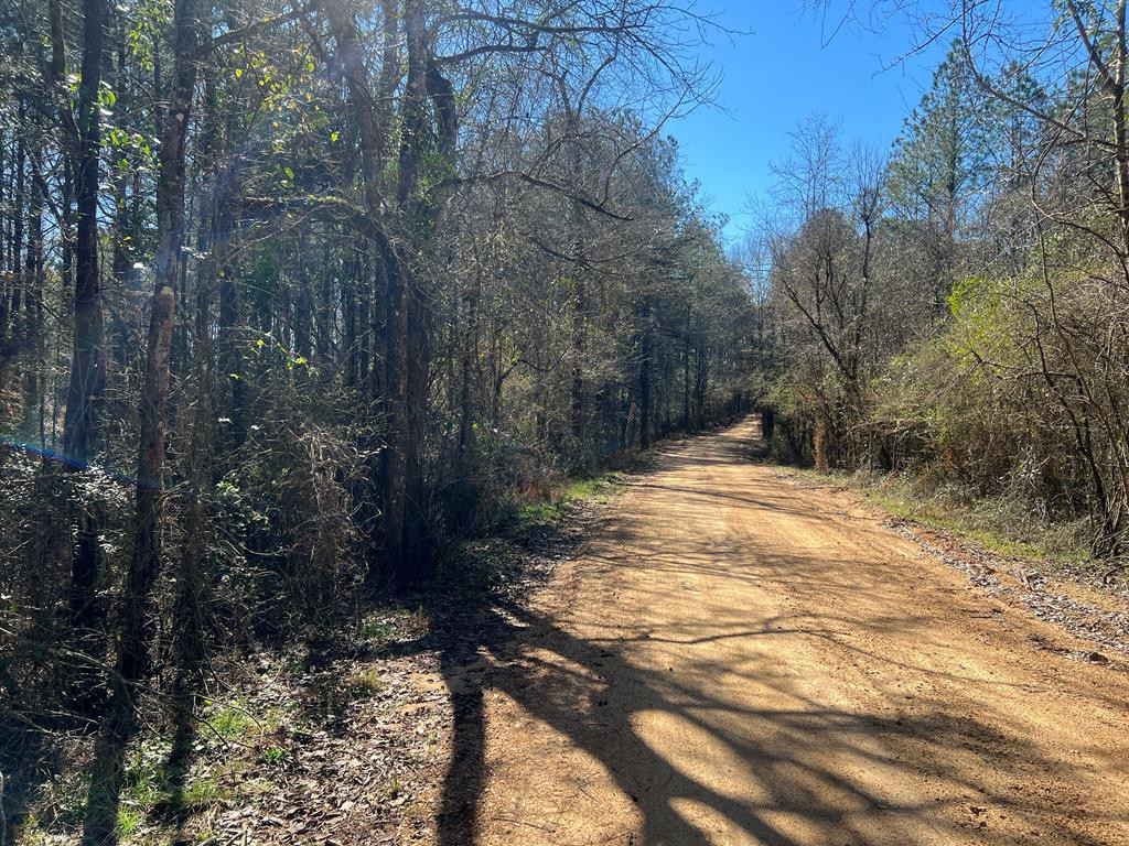 3209 County Farm Road Liberty, MS 39645 - Photo 20 of 29 Photo 20
