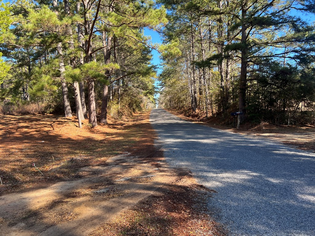 3209 County Farm Road Liberty, MS 39645 - Photo 2 of 29 Photo 2