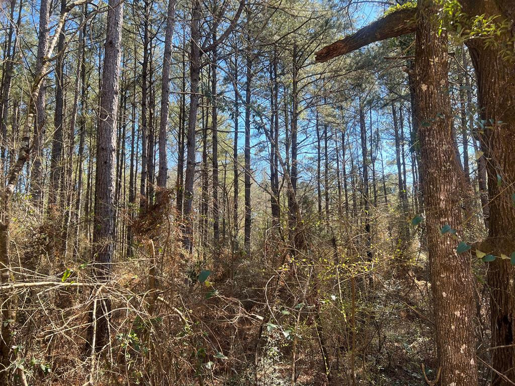 3209 County Farm Road Liberty, MS 39645 - Photo 22 of 29 Photo 22
