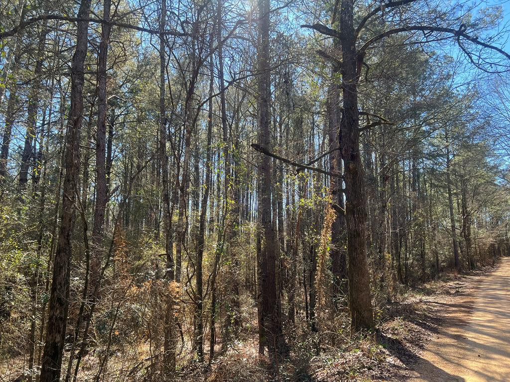 3209 County Farm Road Liberty, MS 39645 - Photo 23 of 29 Photo 23