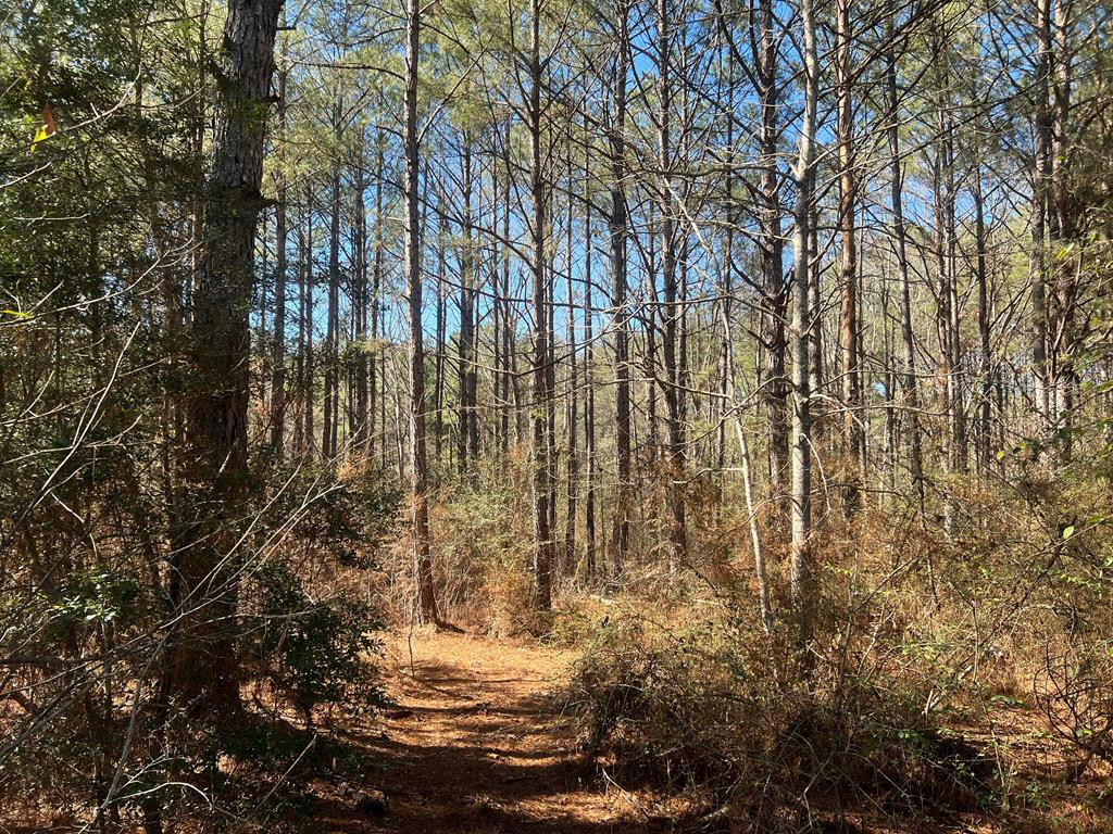 3209 County Farm Road Liberty, MS 39645 - Photo 24 of 29 Photo 24