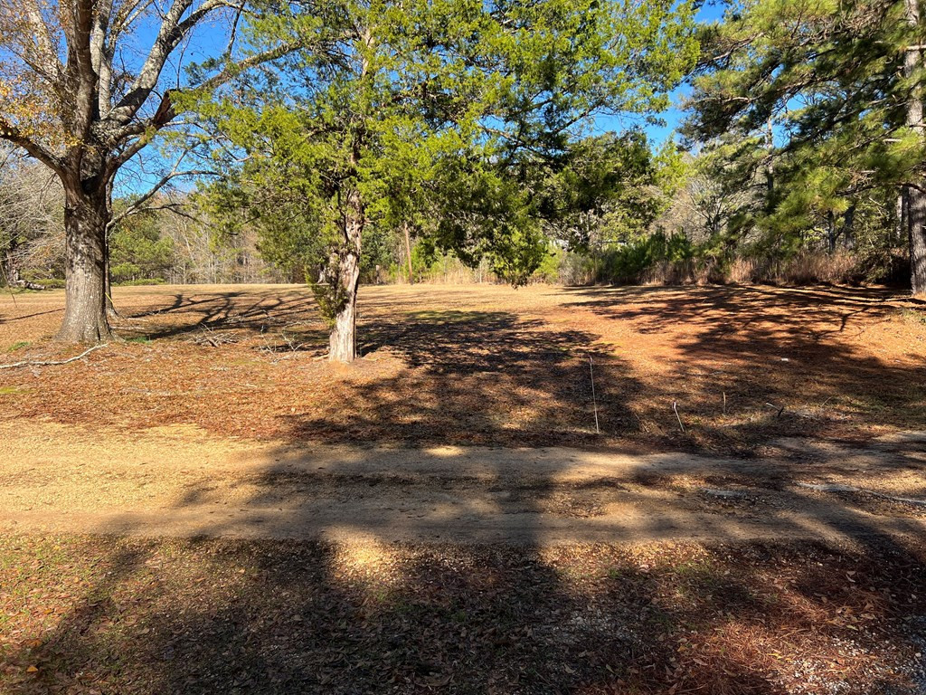 3209 County Farm Road Liberty, MS 39645 - Photo 3 of 29 Photo 3