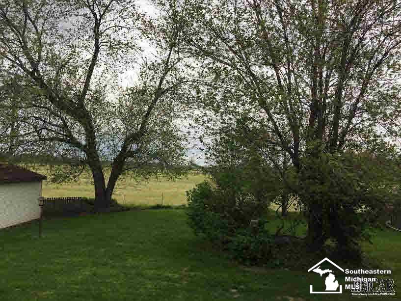 2587 North Raisinville Road Monroe, MI 48162 - Photo 28 of 32 Western View from Deck