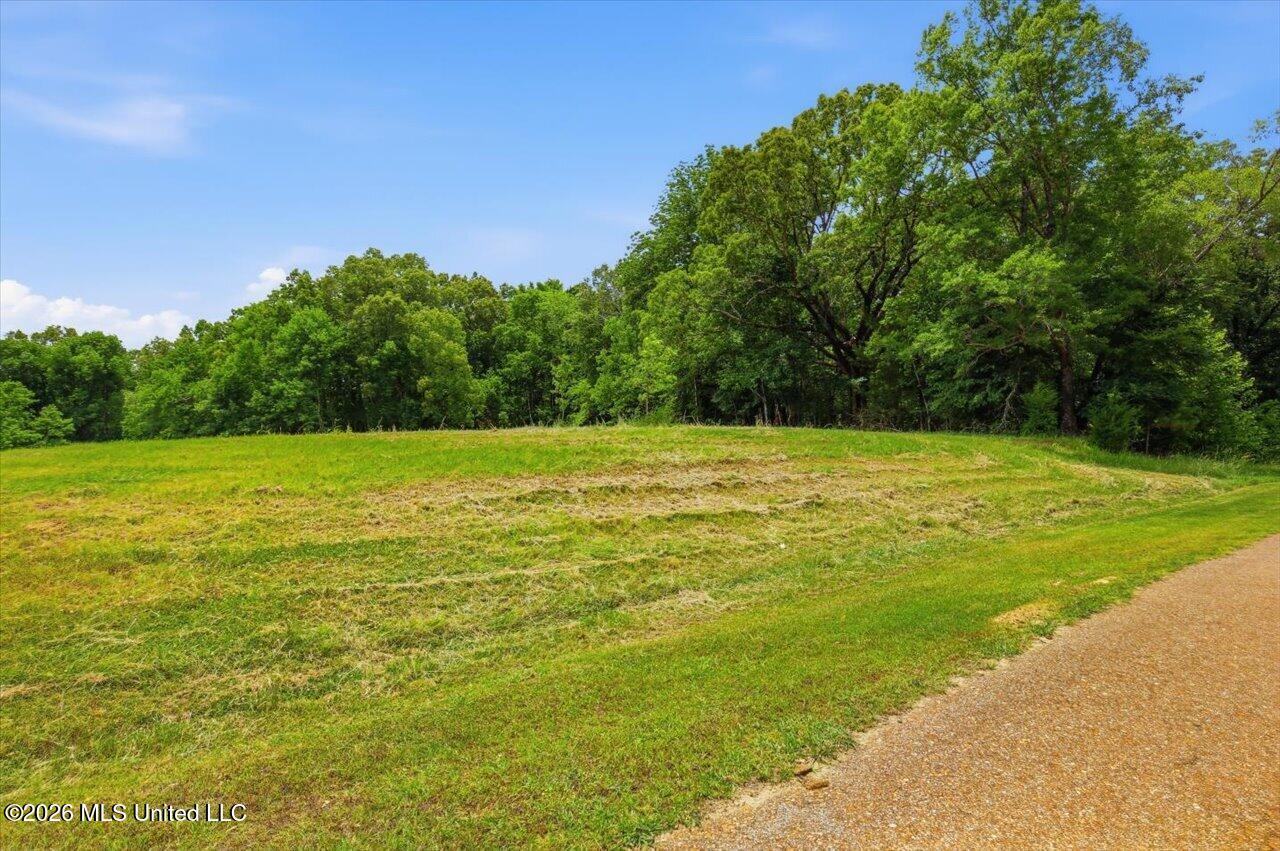 177 Chestnut Hill Road Flora, MS 39071 - Photo 5 of 28 06-Chestnut Hill Entrance _ Hometoursms.