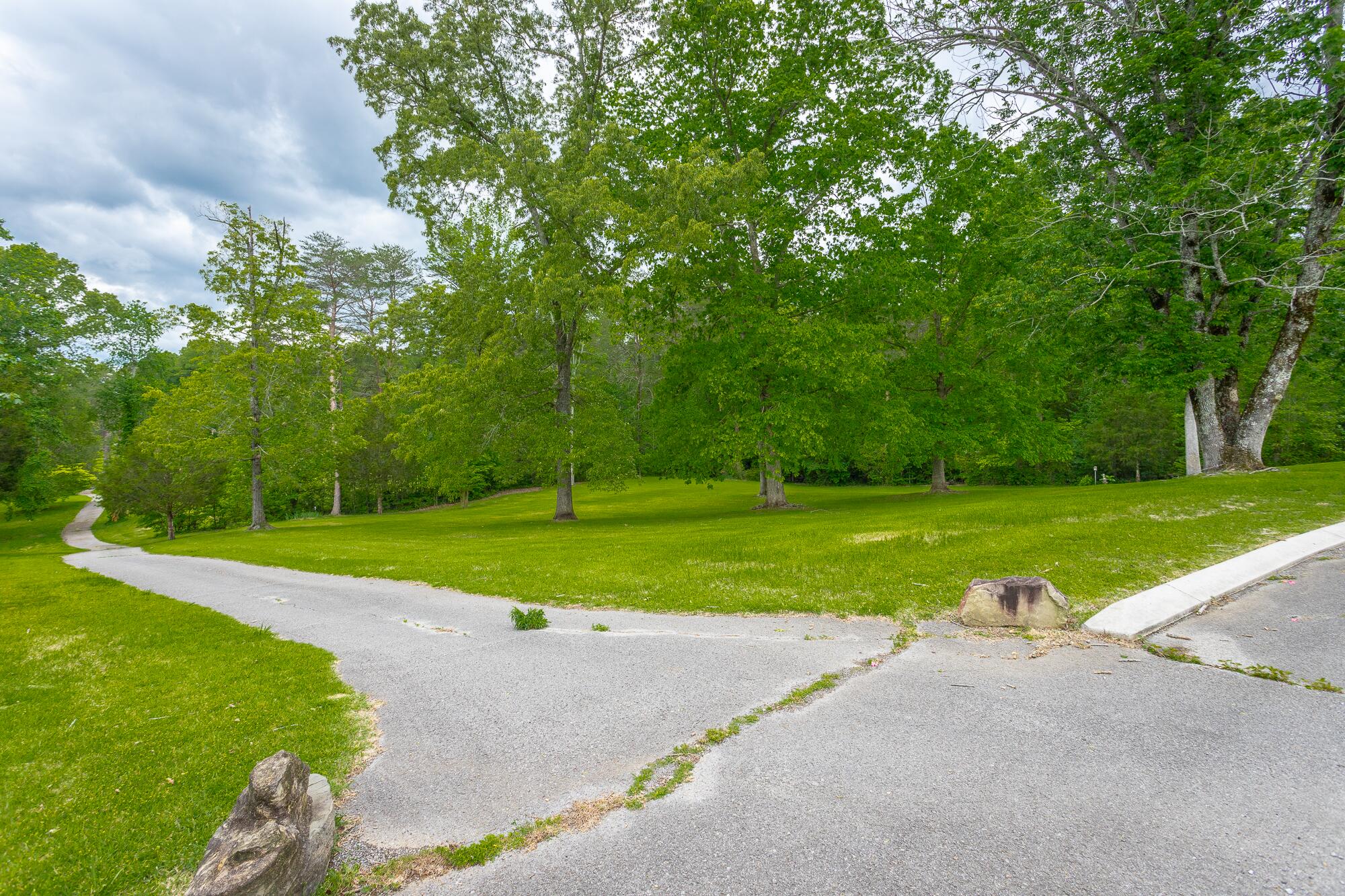 19 Lower Brow Road Dunlap, TN 37327 - Photo 103 of 167 19 Lower Brow Road HD-131