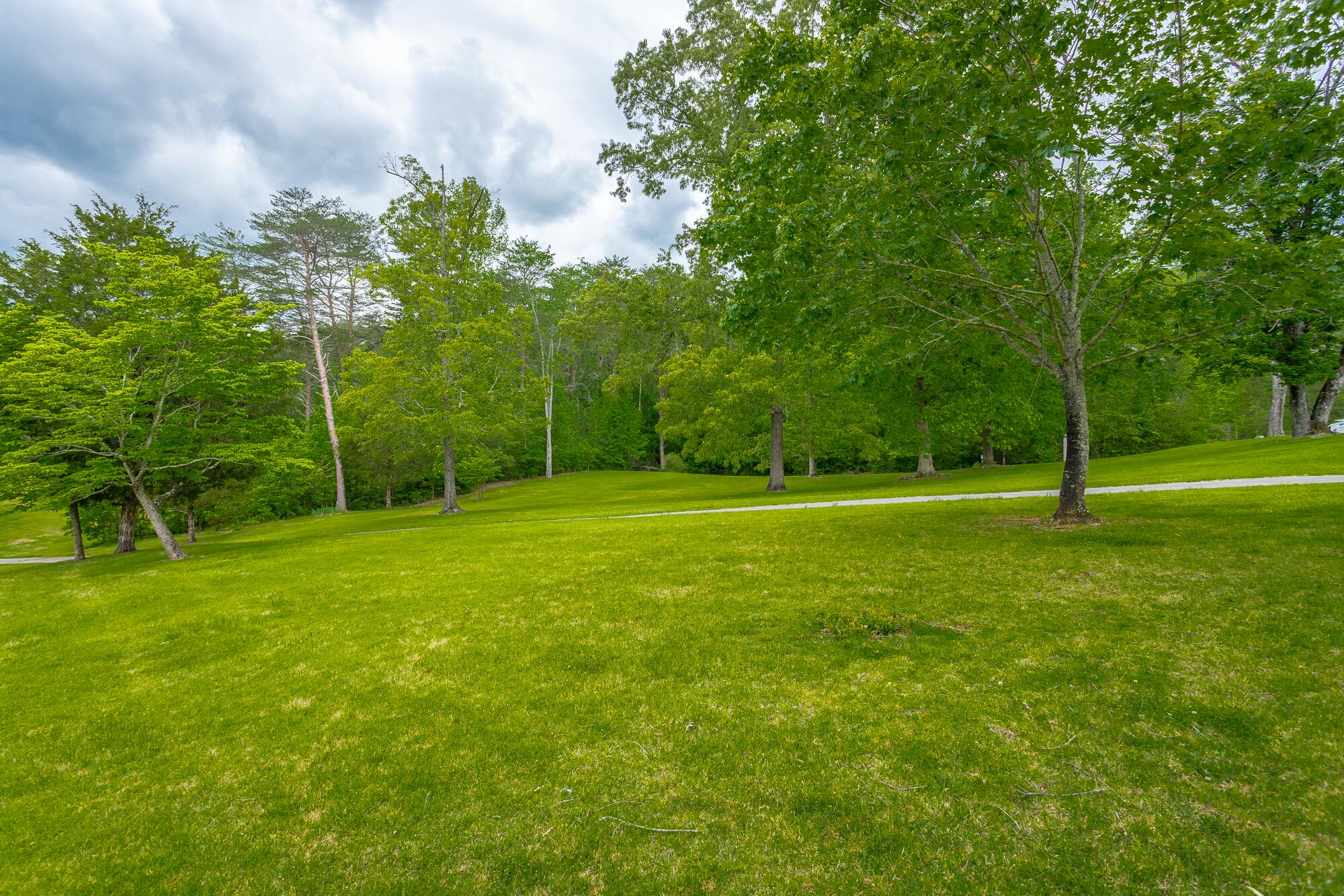 19 Lower Brow Road Dunlap, TN 37327 - Photo 105 of 167 19 Lower Brow Road HD-128