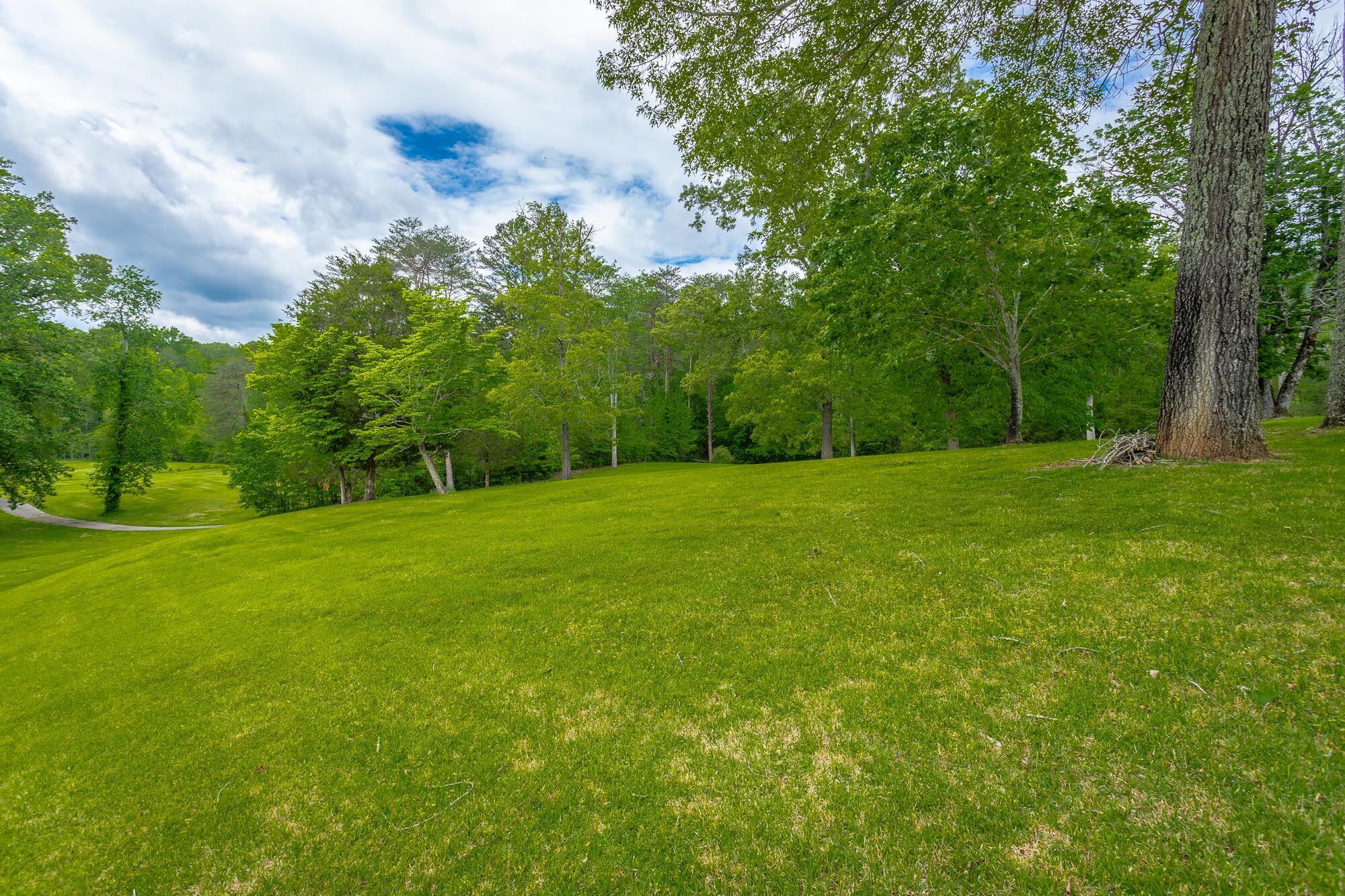 19 Lower Brow Road Dunlap, TN 37327 - Photo 111 of 167 19 Lower Brow Road HD-116