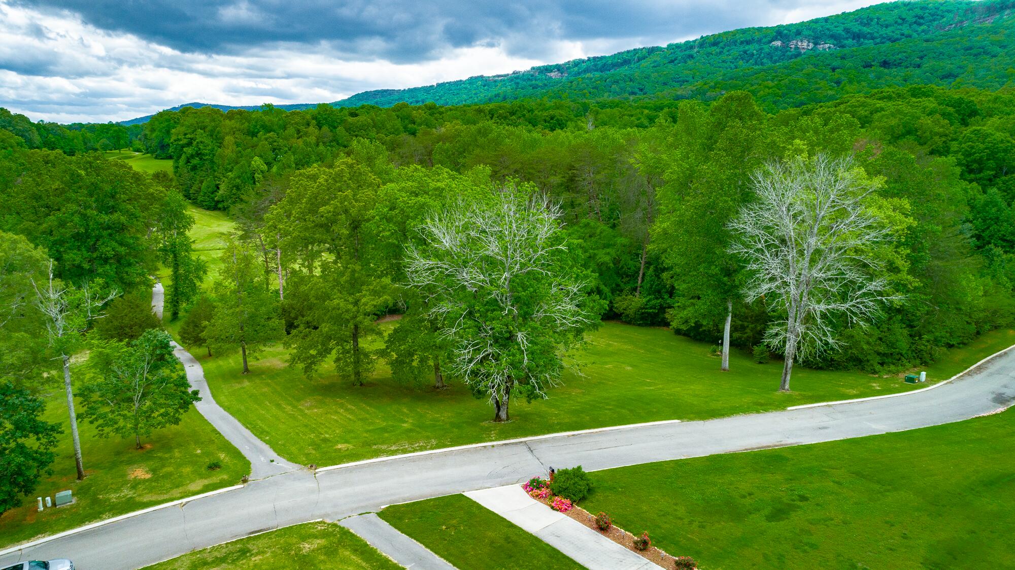 19 Lower Brow Road Dunlap, TN 37327 - Photo 92 of 167 19 Lower Brow Road HD-141