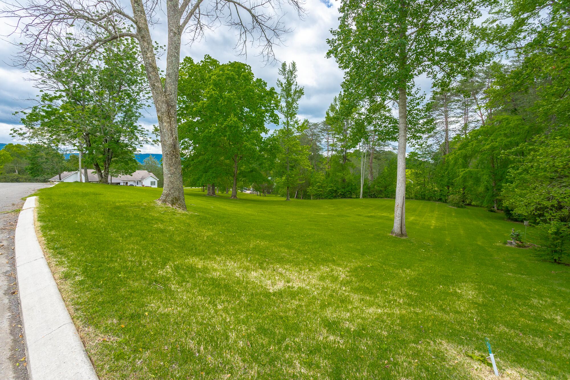 19 Lower Brow Road Dunlap, TN 37327 - Photo 98 of 167 19 Lower Brow Road HD-135