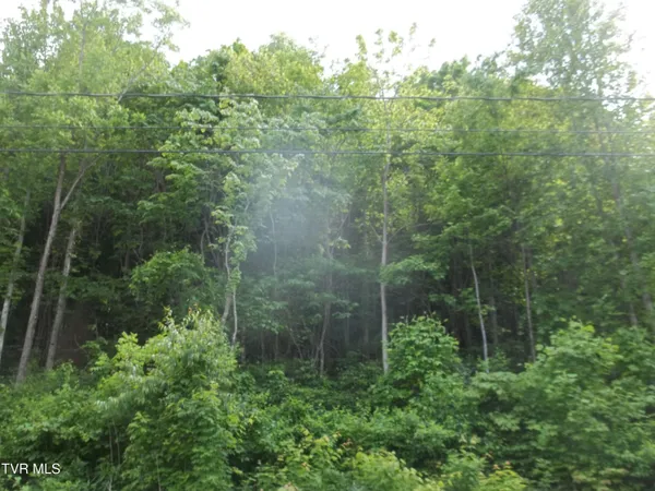 $7,500 | 437 Creekside Drive, Unit 128, Mount Carmel, TN 37645