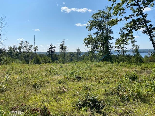 Lot #7 Cape Jellison Road Stockton Springs, ME 04981 - Photo 10 of 15 IMG_1574