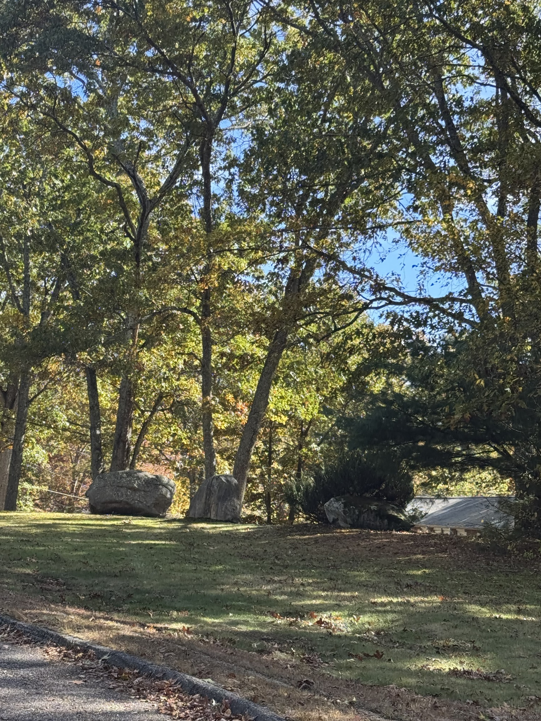 20 Dartmouth Road Mansfield, CT 06268 - Photo 3 of 5 a view of a yard with a tree
