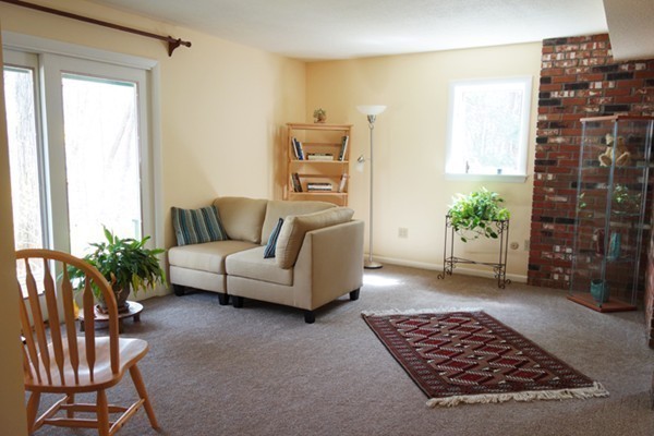 55 High Point Drive Amherst, MA 01002 - Photo 18 of 30 a living room with furniture and a potted plant