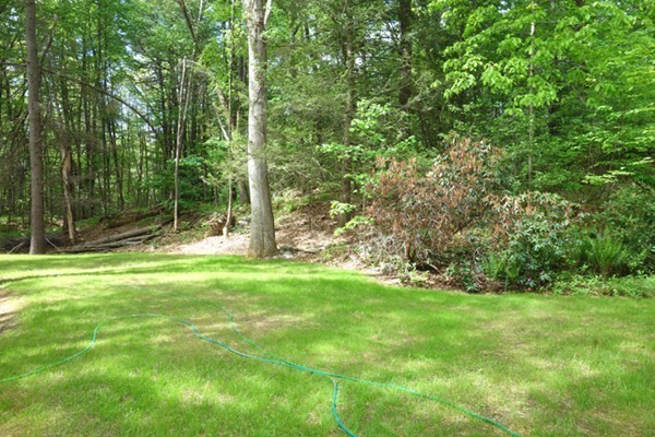 55 High Point Drive Amherst, MA 01002 - Photo 25 of 30 a view of a park with a tree