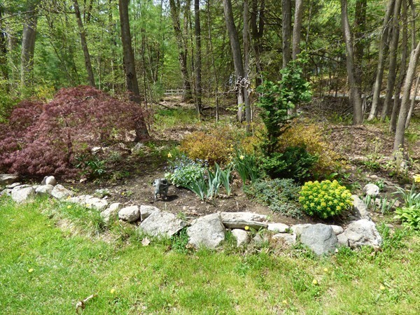 55 High Point Drive Amherst, MA 01002 - Photo 29 of 30 a backyard of a house with lots of green space