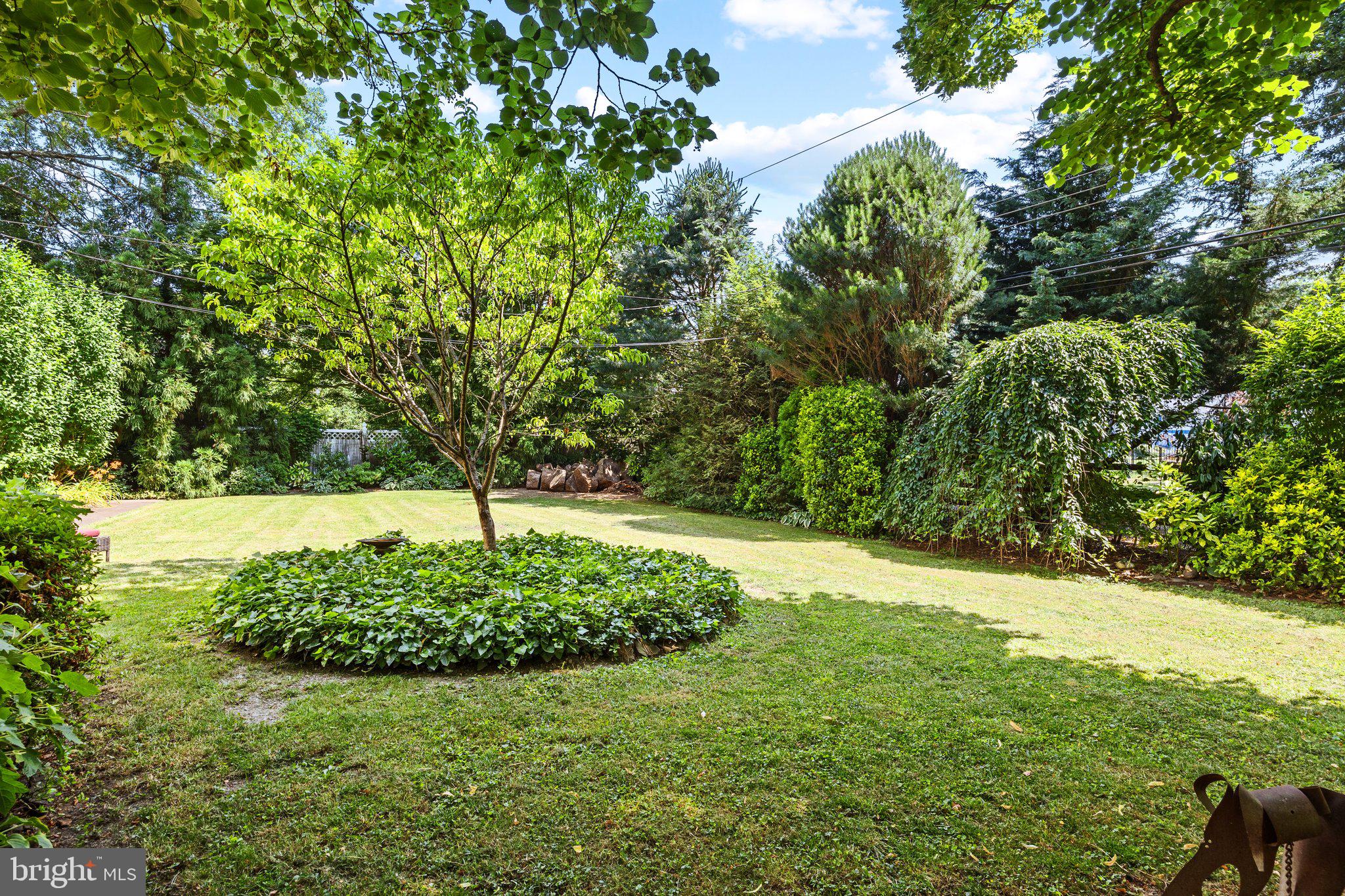 1313 Moon Drive Yardley, PA 19067 - Photo 53 of 56 a view of yard with green space