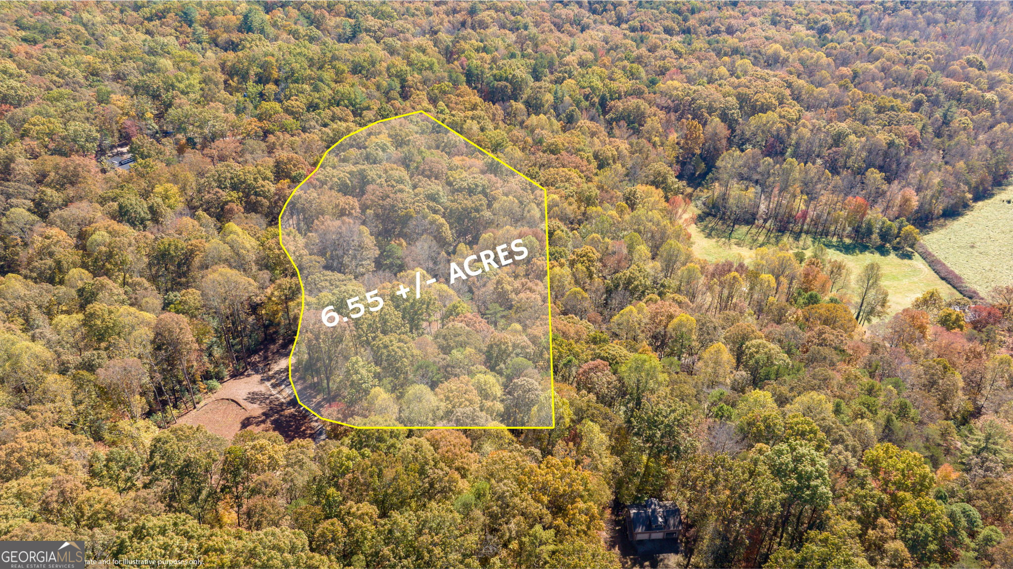 1010 Mdw Vw Ridge Clarkesville, GA 30523 - Photo 3 of 56