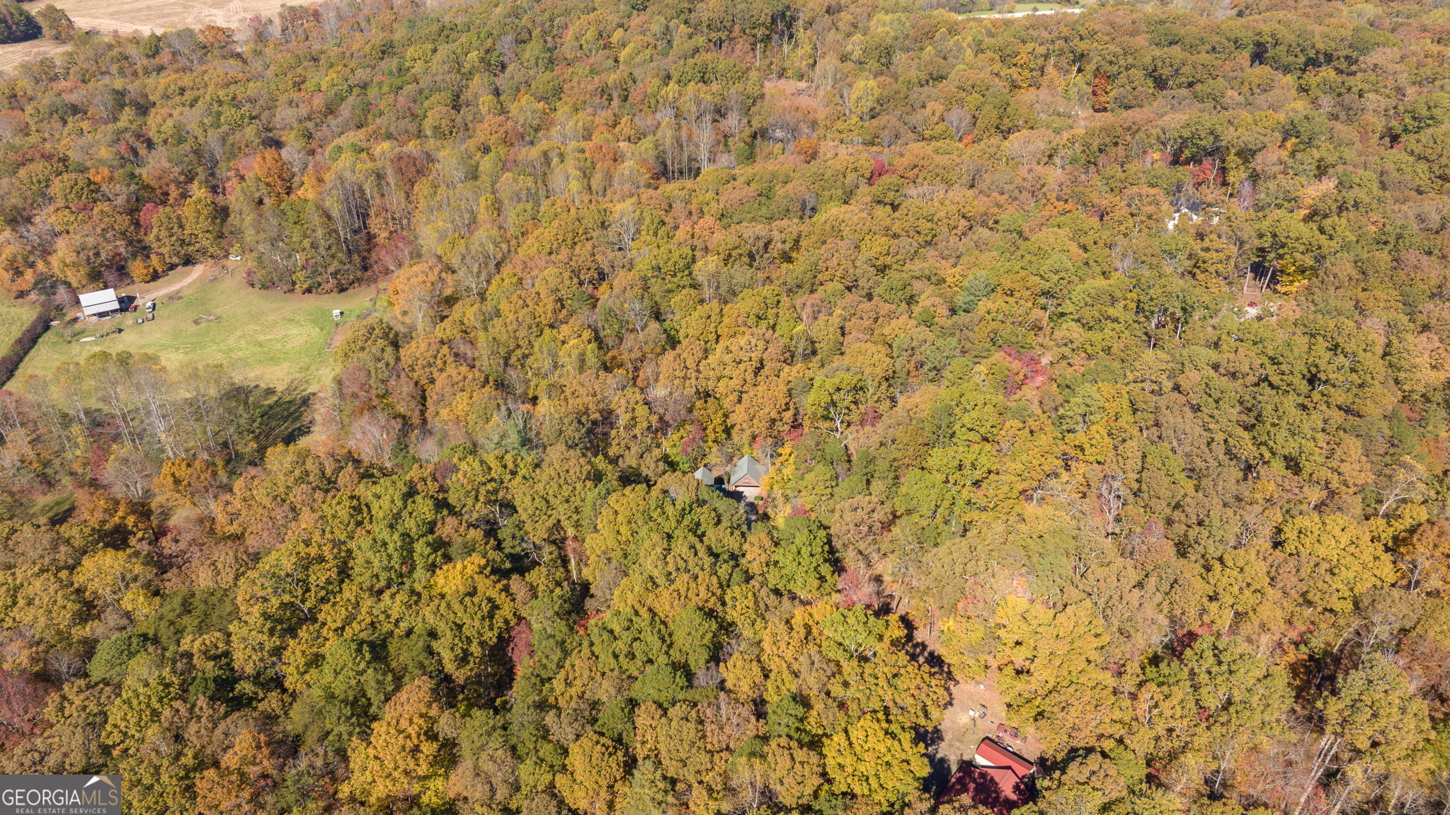 1010 Mdw Vw Ridge Clarkesville, GA 30523 - Photo 52 of 56