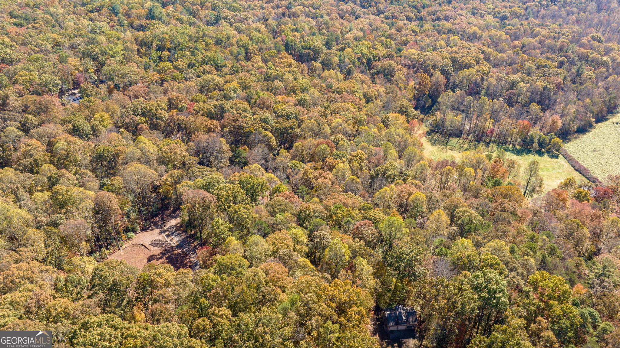 1010 Mdw Vw Ridge Clarkesville, GA 30523 - Photo 56 of 56