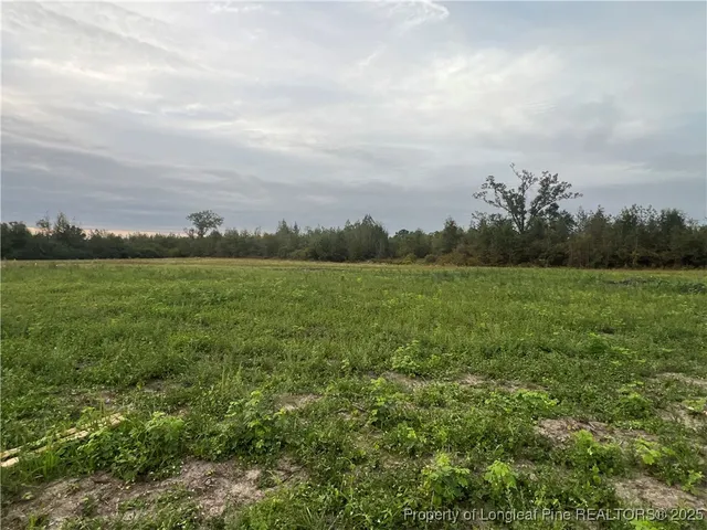 $339,900 | 4025 Blue Springs Road, Red Springs, NC 28377