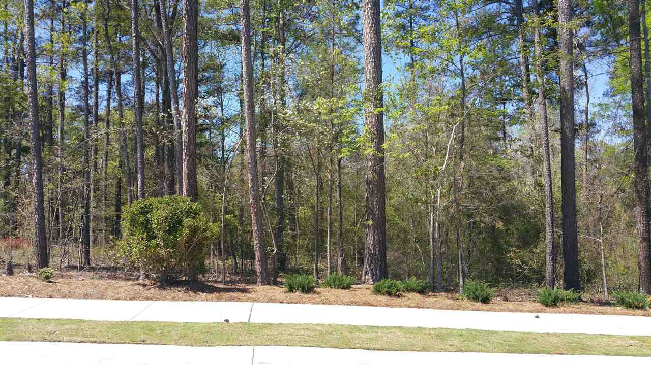 117 Mill Chapel Road Chapel Hill, NC 27517 - Photo 13 of 17 View from Front Porch