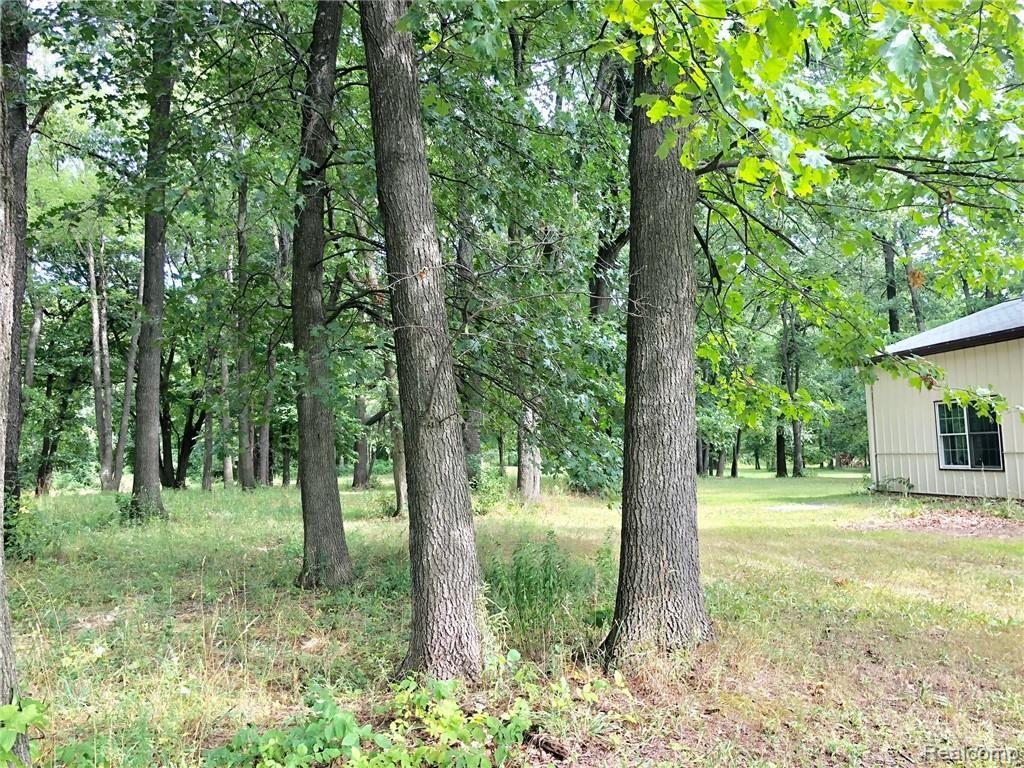 7343 Bordman Road Almont, MI 48003 - Photo 75 of 81 IMG_1325.jpg