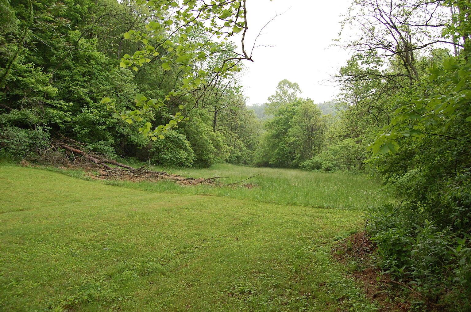 0 Marabel Road Crown City, OH 45623 - Photo 14 of 51