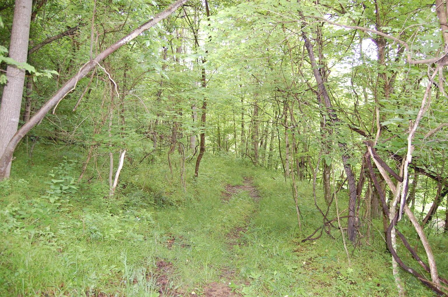 0 Marabel Road Crown City, OH 45623 - Photo 15 of 51