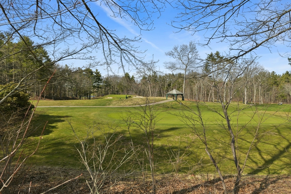 635 Old Post Road, Unit 2209 Sharon, MA 02067 - Photo 34 of 42 a view of a field with a tree