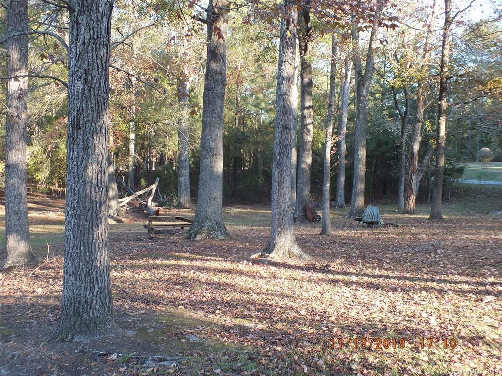 1136 Garnette Road Lancaster, SC 29720 - Photo 20 of 22 a view of a backyard with tree