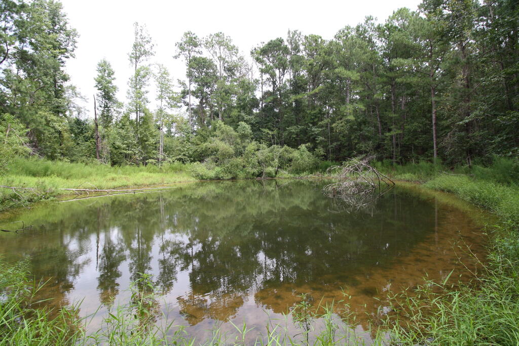 1525 Singletary Road Abbeville, AL 36310 - Photo 34 of 39 Gallery Image 34