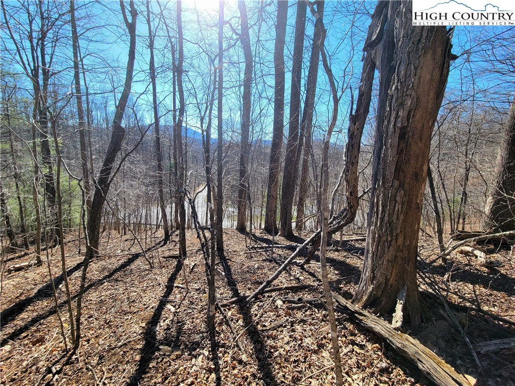 Rivers Street Boone, NC 28607 - Photo 2 of 16 a picture of trees