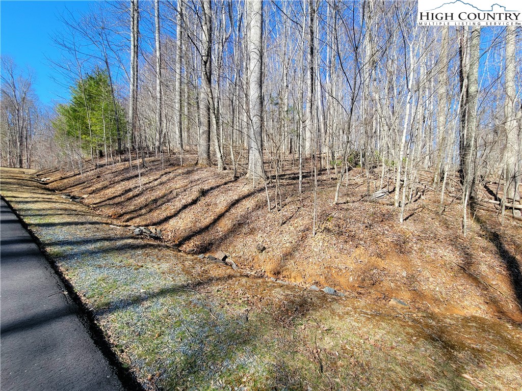 Rivers Street Boone, NC 28607 - Photo 3 of 16 a view of a backyard with wooden fence