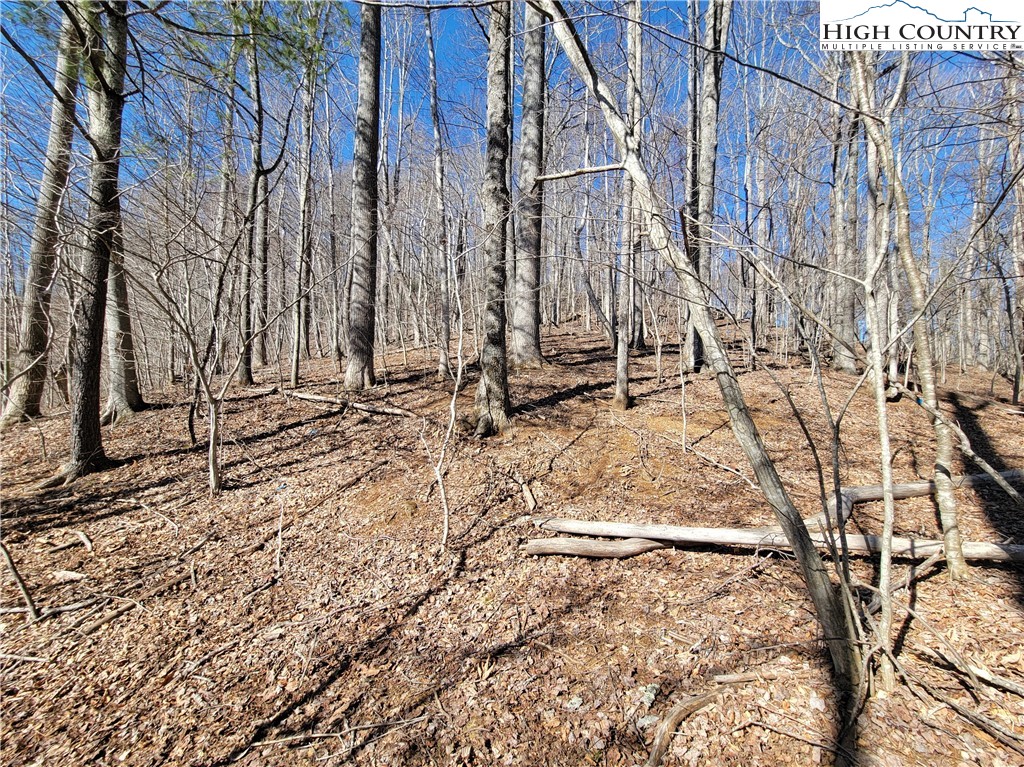 Rivers Street Boone, NC 28607 - Photo 4 of 16 a view of under construction area
