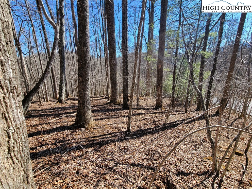 Rivers Street Boone, NC 28607 - Photo 5 of 16 a view of a backyard of the house
