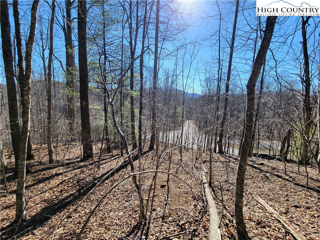 Rivers Street Boone, NC 28607 - Photo 6 of 16 a view of a yard with large trees