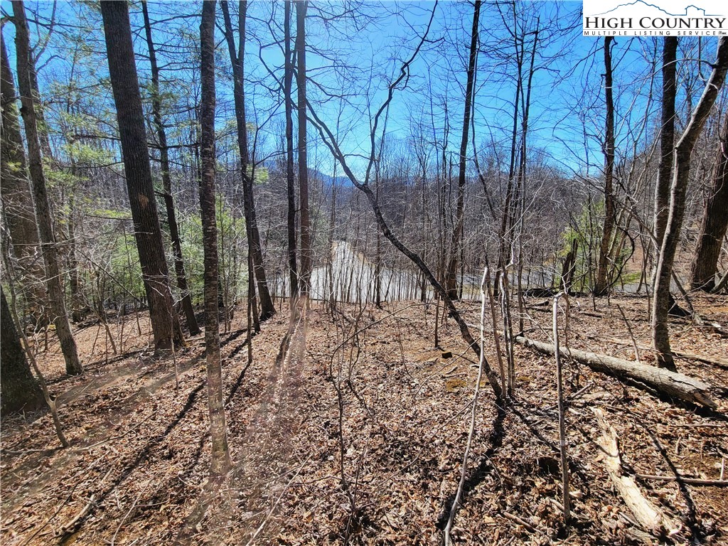 Rivers Street Boone, NC 28607 - Photo 7 of 16 a backyard of a house with lots of green space