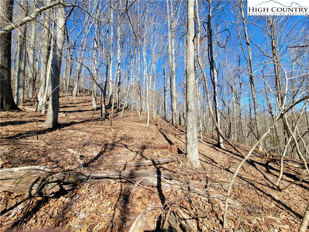 Rivers Street Boone, NC 28607 - Photo 8 of 16 a backyard of a house with lots of green space