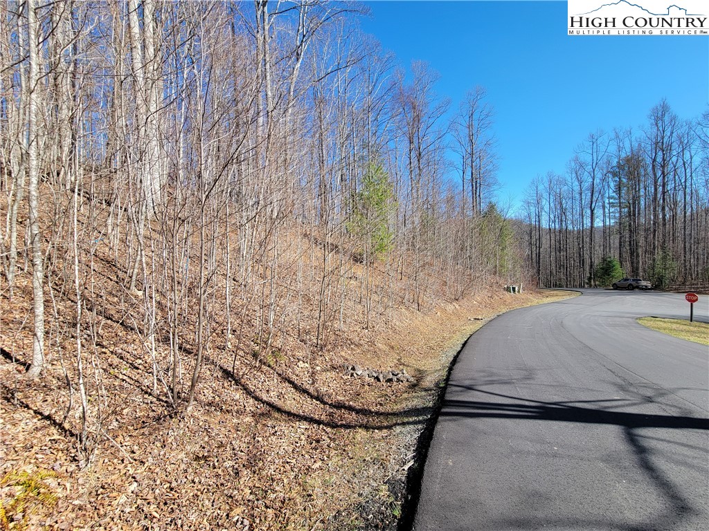 Rivers Street Boone, NC 28607 - Photo 9 of 16 a view of a backyard