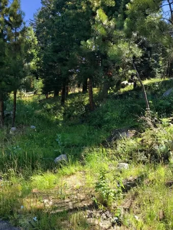 $265,000 | 1435 Majestic View Drive, Unit 81, McCall, ID 83638