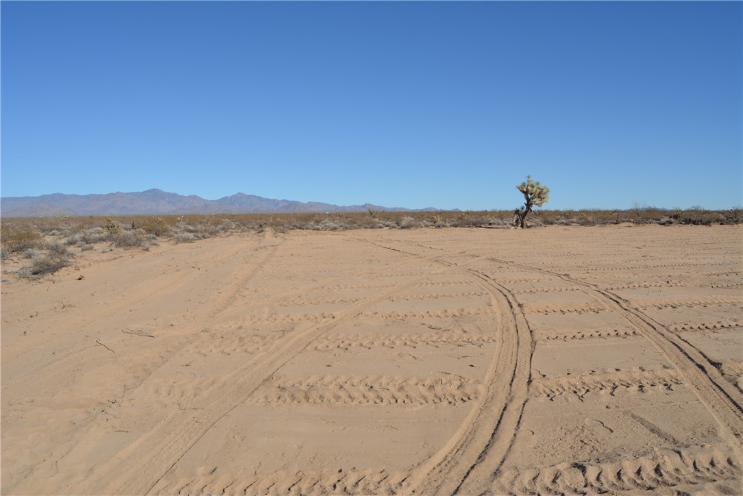 207-35-005 South Arlington Road Yucca, AZ 86438 - Photo 18 of 92