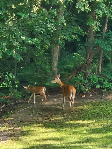 $959,900 | 7467 Walshville Trail, Hillsboro, IL 62049