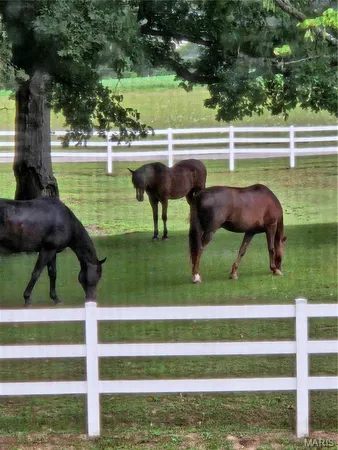 $929,900 | 7467 Walshville Trail, Hillsboro, IL 62049