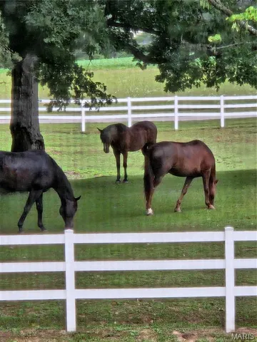 $959,900 | 7467 Walshville Trail, Hillsboro, IL 62049